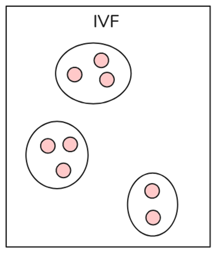 image-2.png